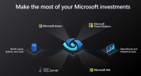 azure_purview_graphic.png