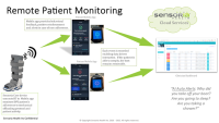 remote_patient_monitoring.png